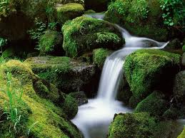 images 1